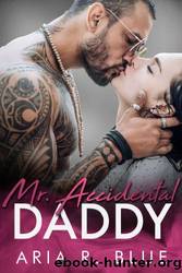 Mr. Accidental Daddy by Aria R. Blue