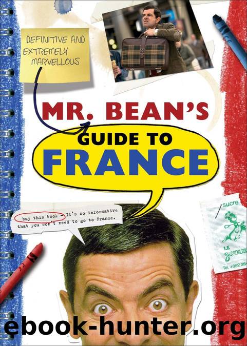 Mr. Bean's Definitive and Extremely Marvelous Guide to France by Robin Driscoll