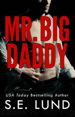 Mr. Big Daddy (The Mr. Big Series Book 3) by S. E. Lund