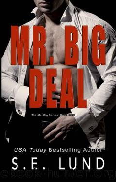 Mr. Big Deal (The Mr. Big Series Book 4) by S. E. Lund