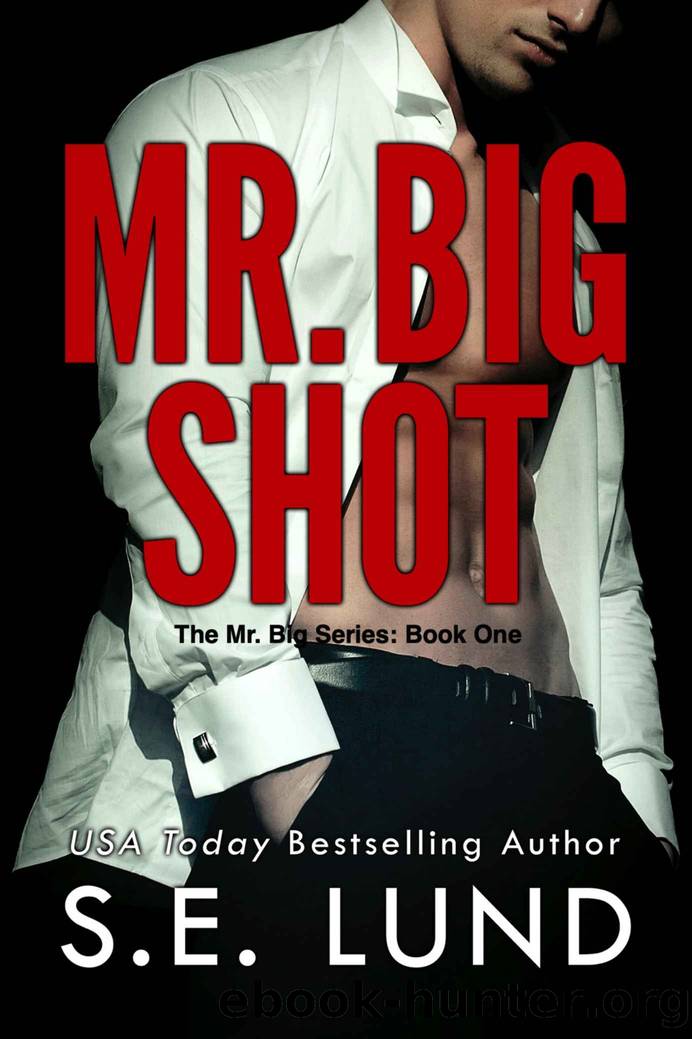 Mr. Big Shot: The Mr. Big Series: Book One by S. E. Lund