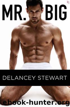 Mr. Big by Delancey Stewart