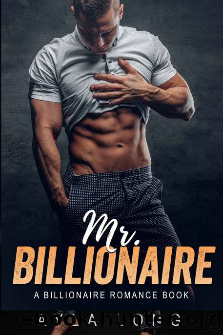 Mr. Billionaire by Long Ayla