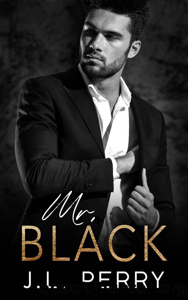 Mr. Black: A Billionaire Romance by J. L. Perry
