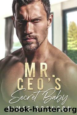 Mr. CEO's Secret Baby: A Billionaire Second Chance Romance (Billionaire Keepers) by Aimee Bronson