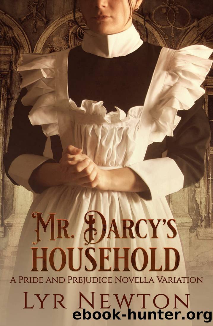 Mr. Darcy's Household: A Pride and Prejudice Novella Variation by Lyr Newton