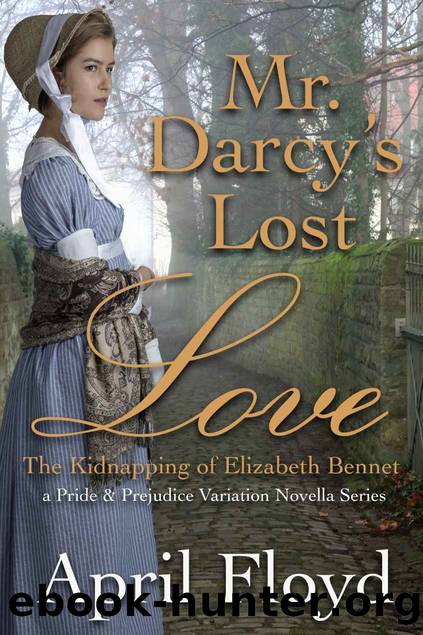 Mr. Darcy's Lost Love - the Kidnapping of Elizabeth Bennet_A Pride & Prejudice Variation Novella Series by April Floyd