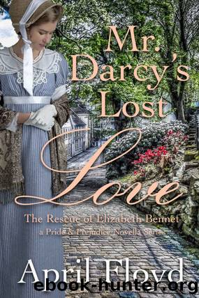 Mr. Darcy's Lost Love - the Rescue of Elizabeth Bennet_A Pride & Prejudice Variation Novella Series by April Floyd