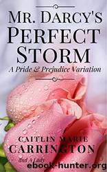 Mr. Darcy's Perfect Storm: A Pride and Prejudice Variation by Caitlin Marie Carrington