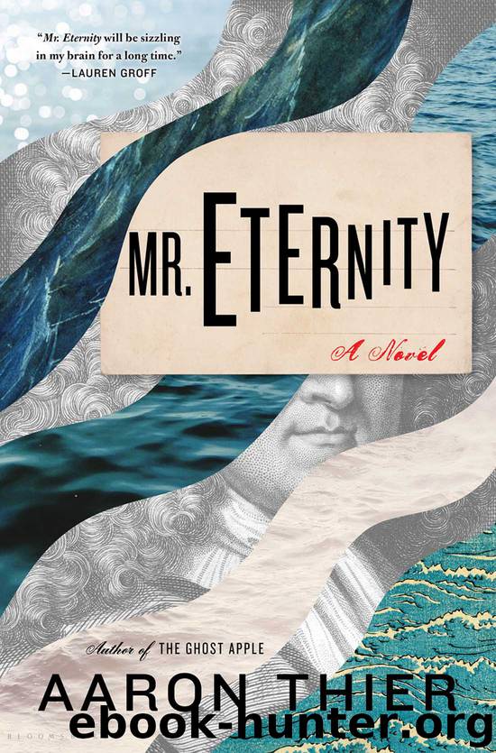 Mr. Eternity by Aaron Thier