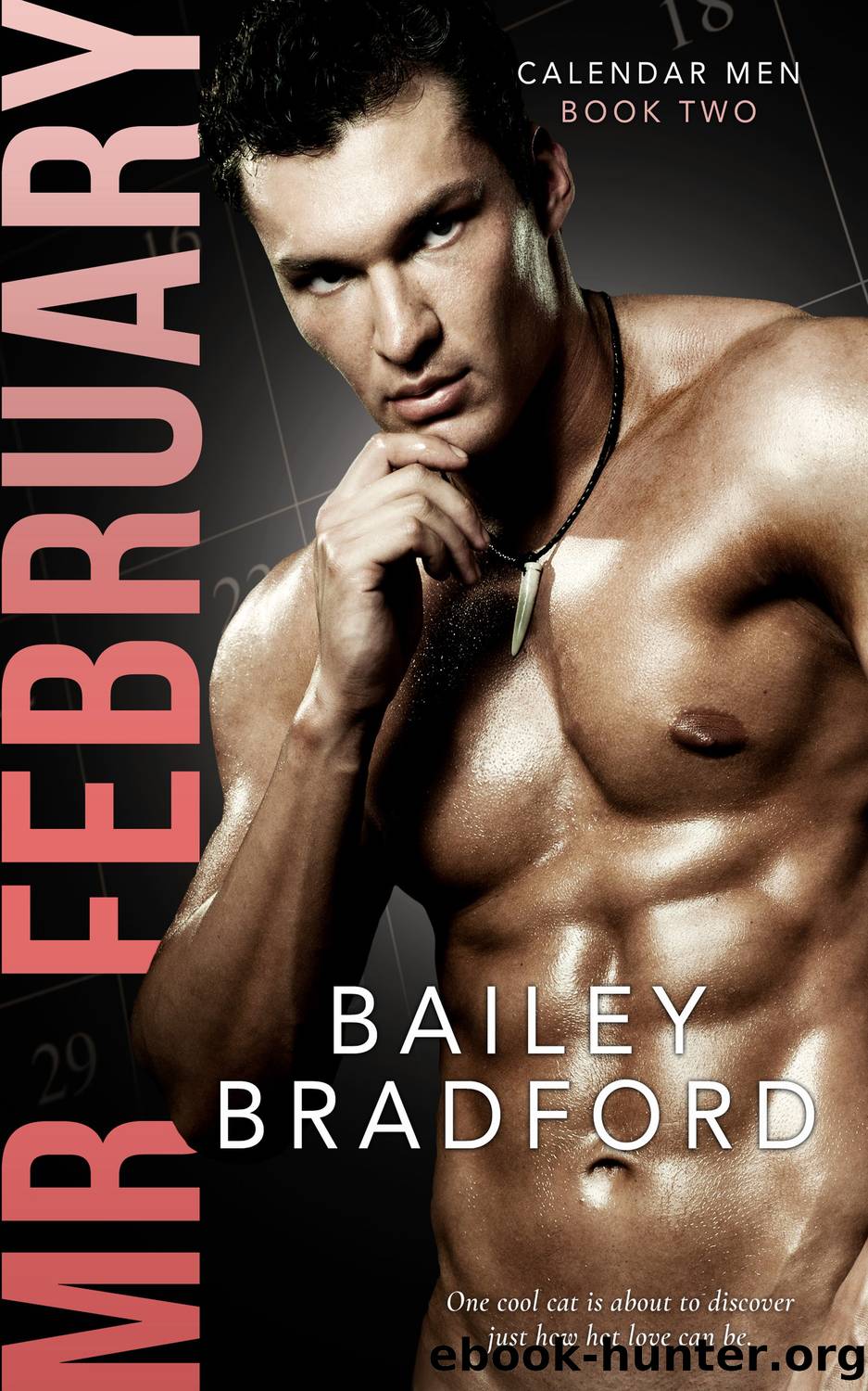 Mr. February by Bailey Bradford
