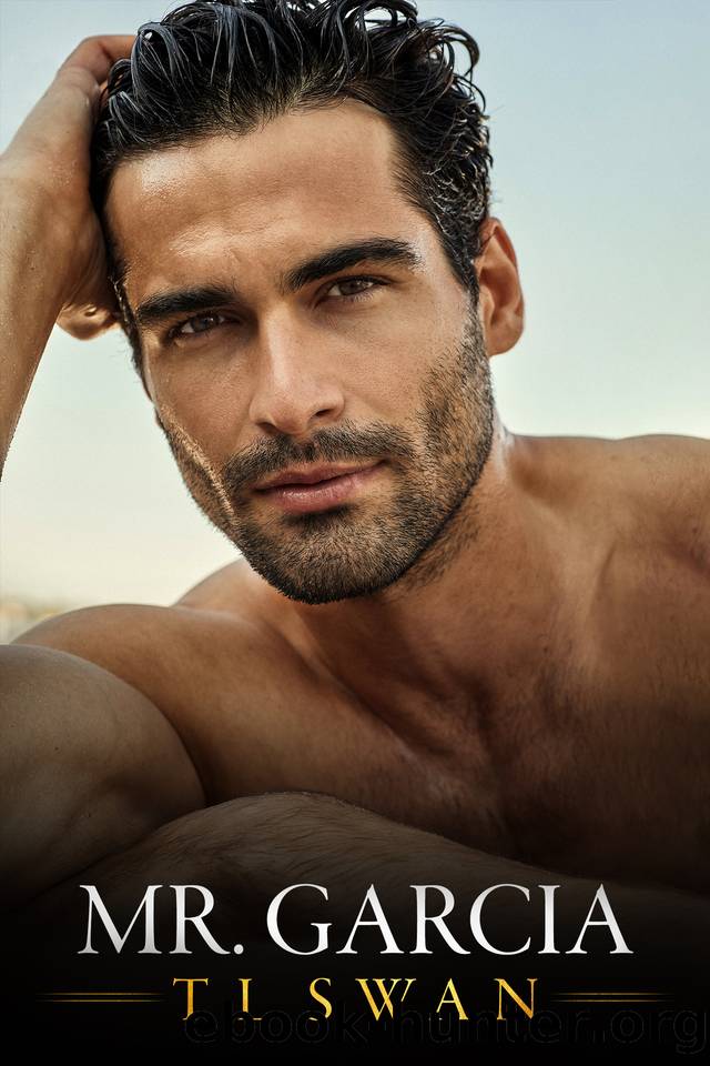 Mr. Garcia (Mr. Series Book 3) by T L Swan
