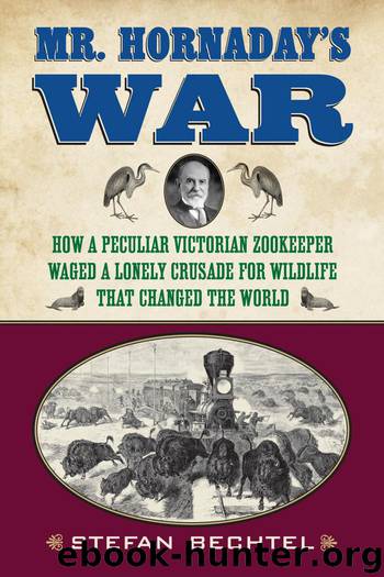 Mr. Hornaday's War by Stefan Bechtel