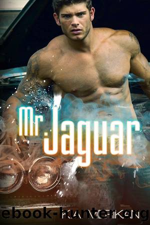 Mr. Jaguar by K.A. Merikan