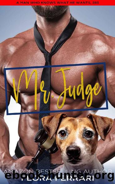 Mr. Judge: A Steamy Standalone Instalove Romance by Flora Ferrari