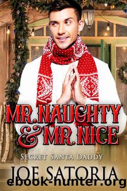 Mr. Naughty & Mr. Nice by Joe Satoria
