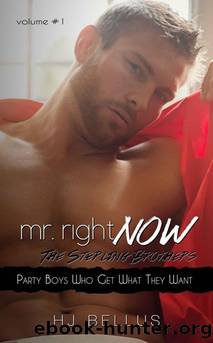 Mr. Right Now: Vol. 1 by Hj Bellus