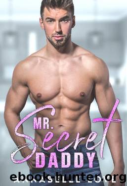 Mr. Secret Daddy: A Second Chance Romance (Love, Accidentally) by Annabelle Love