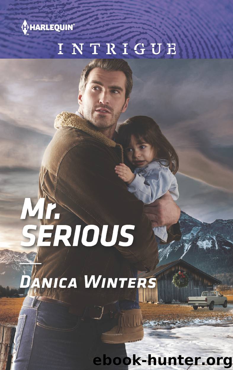 Mr. Serious by Danica Winters