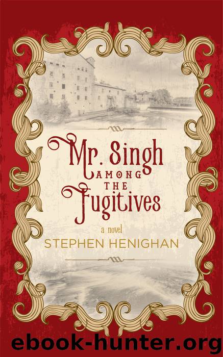 Mr. Singh Among the Fugitives by Stephen Henighan