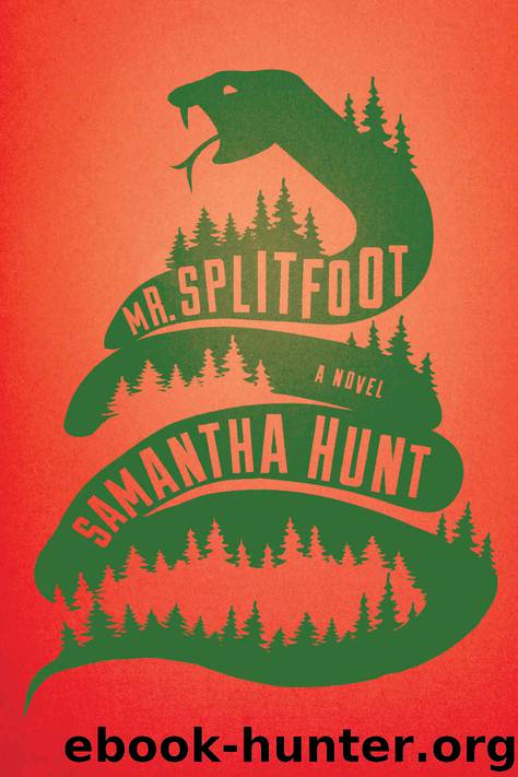 Mr. Splitfoot by Samantha Hunt