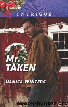 Mr. Taken (Mystery Christmas Book 3) by Danica Winters