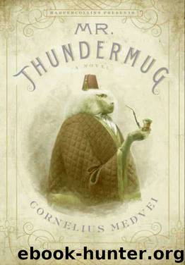 Mr. Thundermug by Cornelius Medvei