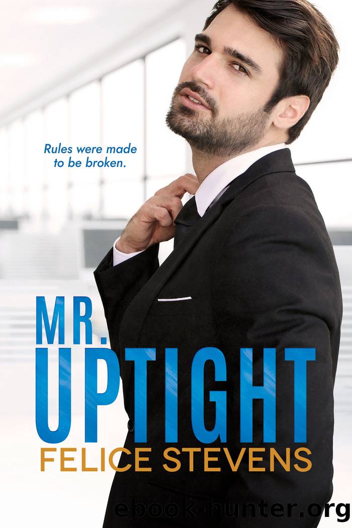 Mr. Uptight by Felice Stevens