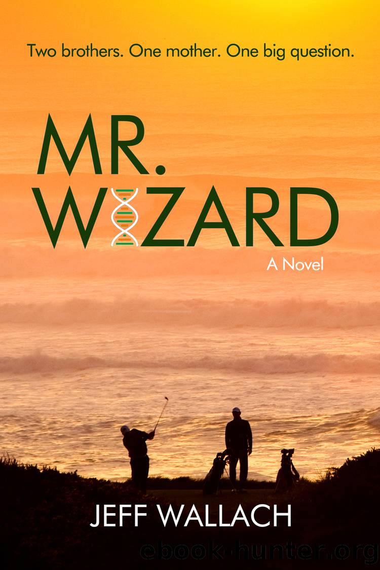 Mr. Wizard by Jeff Wallach