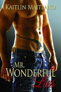 Mr. Wonderful Lies by Kaitlin Maitland