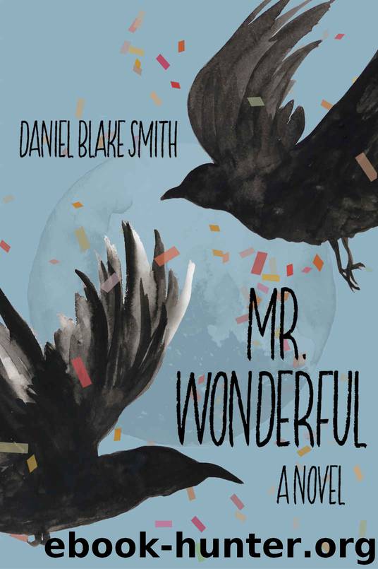 Mr. Wonderful by Daniel Smith