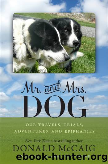 Mr. and Mrs. Dog by Donald McCaig
