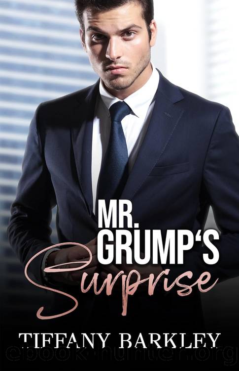 Mr.Grump's Surprise (French Edition) by Tiffany Barkley