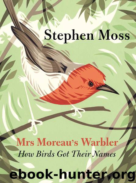 Mrs Moreau's Warbler by Stephen Moss