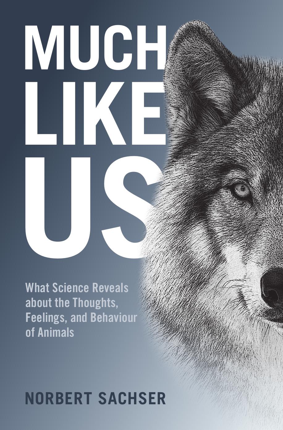 Much Like Us: What Science Reveals About the Thoughts, Feelings, and Behaviour of Animals by Norbert Sachser