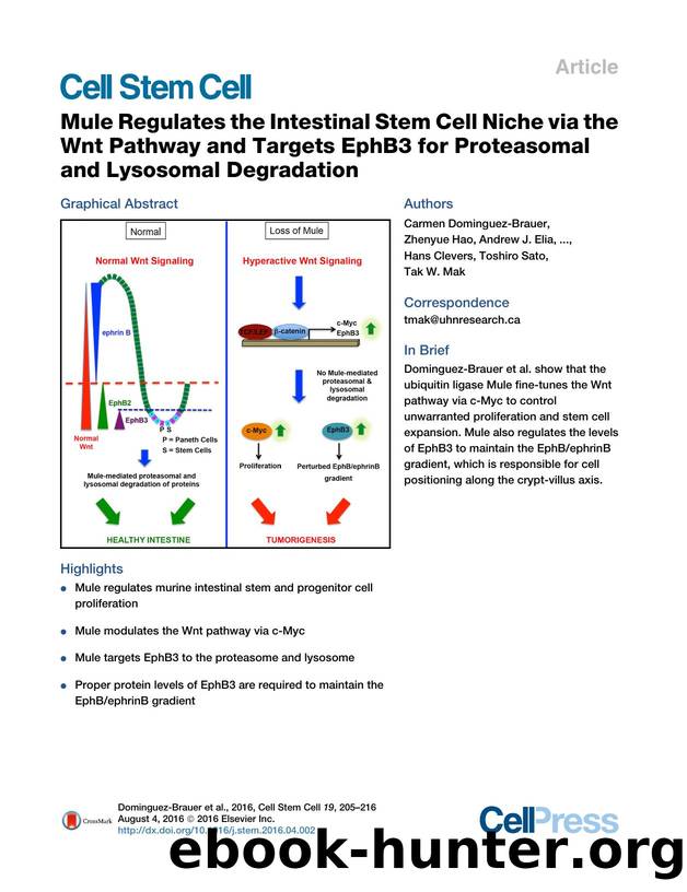 Mule Regulates the Intestinal Stem Cell Niche via the Wnt Pathway and Targets EphB3 for Proteasomal and Lysosomal Degradation by unknow