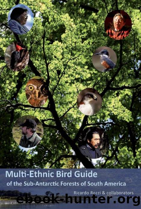 Multi-ethnic Bird Guide of the Subantarctic Forests of South America by Ricardo Rozzi