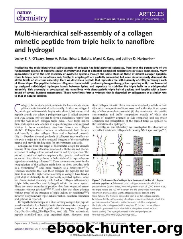 Multi-hierarchical self-assembly of a collagen mimetic peptide from triple helix to nanofibre and hydrogel by Lesley E. R. O'Leary & Jorge A. Fallas & Erica L. Bakota & Marci K. Kang & Jeffrey D. Hartgerink