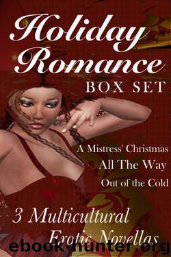 Multicultural Holiday Romance Box Set by Giselle Renarde