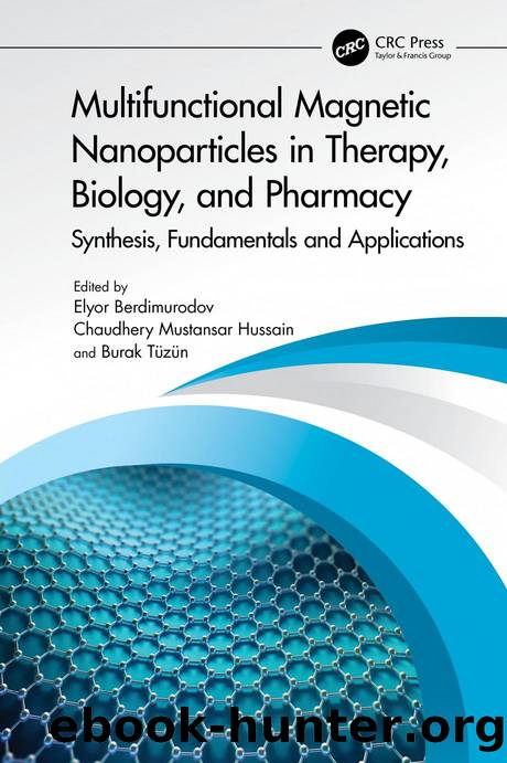 Multifunctional Magnetic Nanoparticles in Therapy, Biology, and Pharmacy; Synthesis, Fundamentals and Applications by ﻿Elyor Berdimurodov & Chaudhery Mustansar Hussain & Burak Tüzün﻿