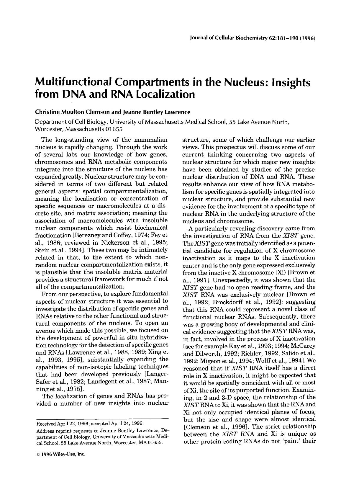 Multifunctional compartments in the nucleus: Insights from DNA and RNA localization by Unknown