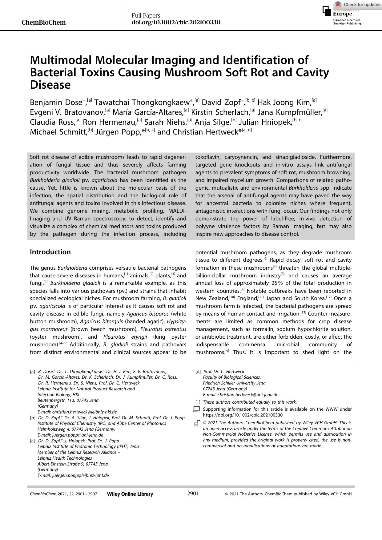 Multimodal Molecular Imaging and Identification of Bacterial Toxins Causing Mushroom Soft Rot and Cavity Disease by Unknown
