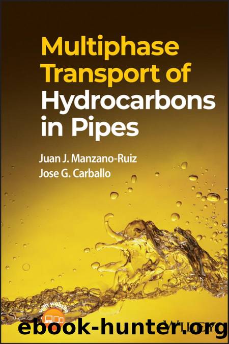 Multiphase Transport of Hydrocarbons in Pipes by Manzano-Ruiz Juan J. & Carballo Jose G