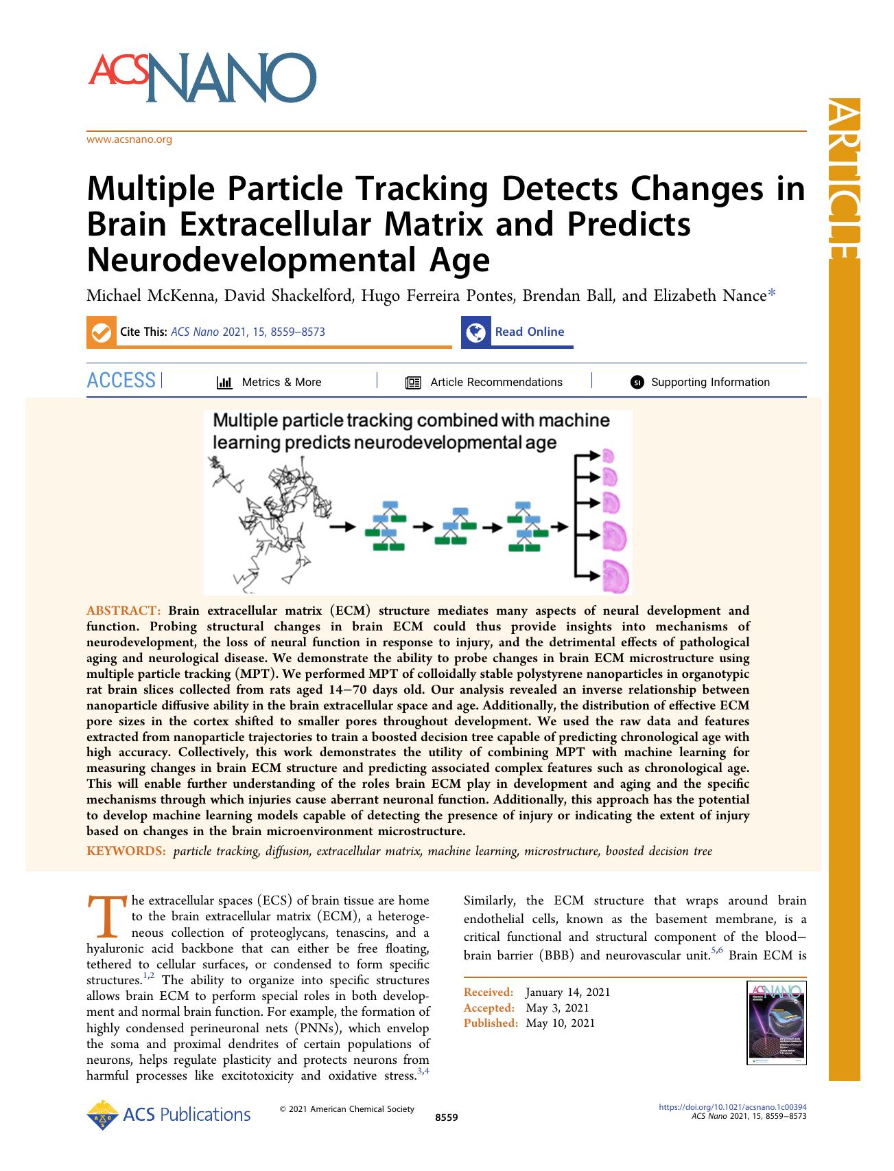 Multiple Particle Tracking Detects Changes in Brain Extracellular Matrix and Predicts Neurodevelopmental Age by Michael McKenna David Shackelford Hugo Ferreira Pontes Brendan Ball and Elizabeth Nance