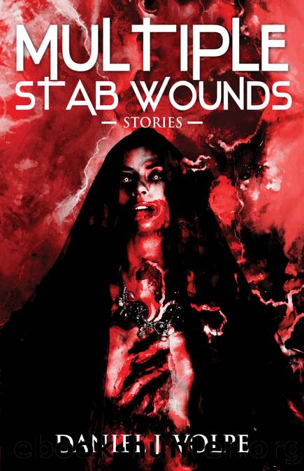 Multiple Stab Wounds: Stories by Daniel J Volpe