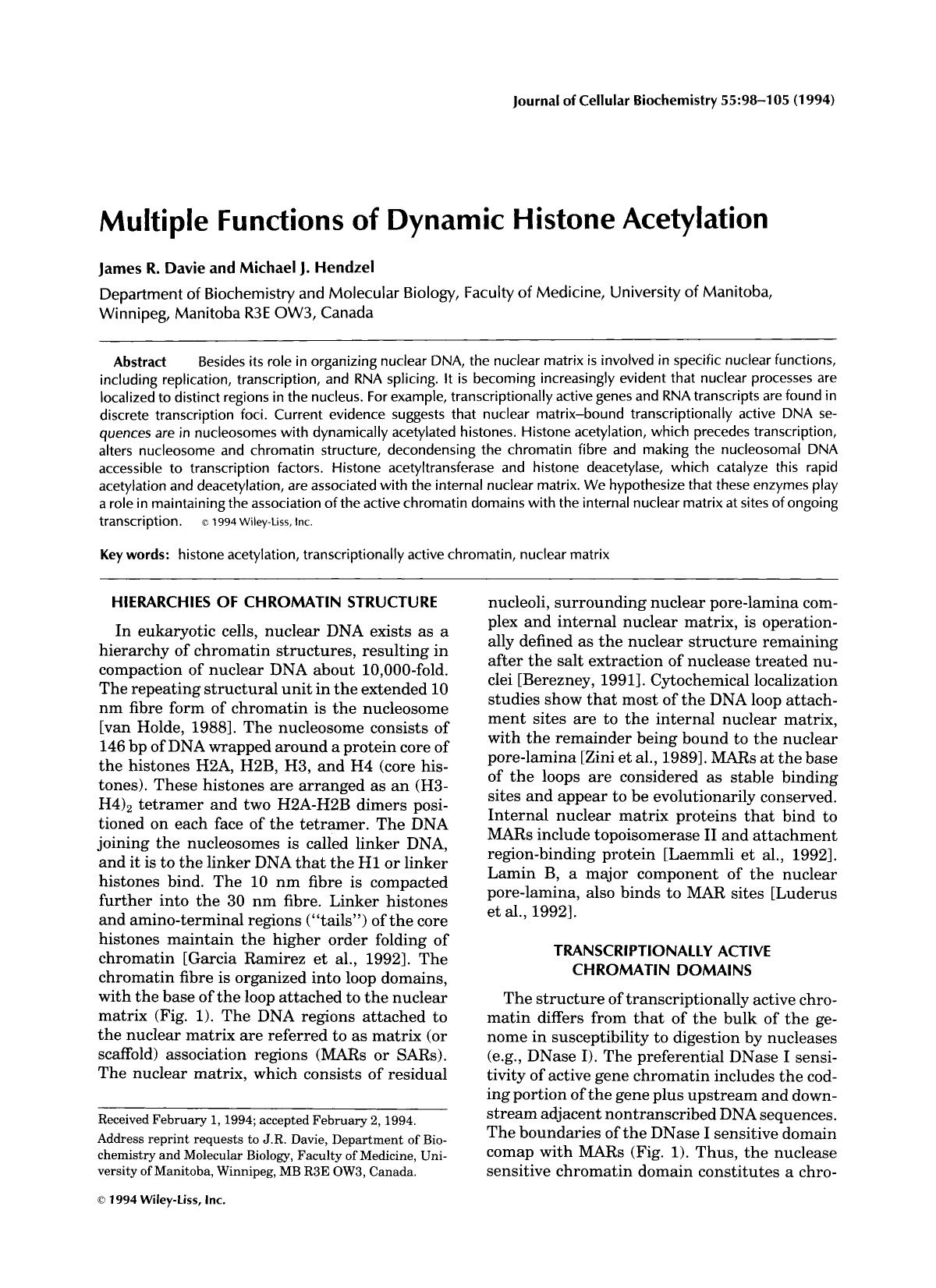 Multiple functions of dynamic histone acetylation by Unknown