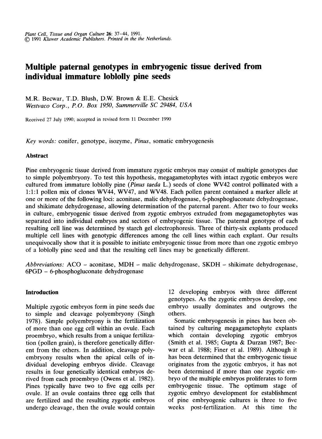 Multiple paternal genotypes in embryogenic tissue derived from individual immature loblolly pine seeds by Unknown