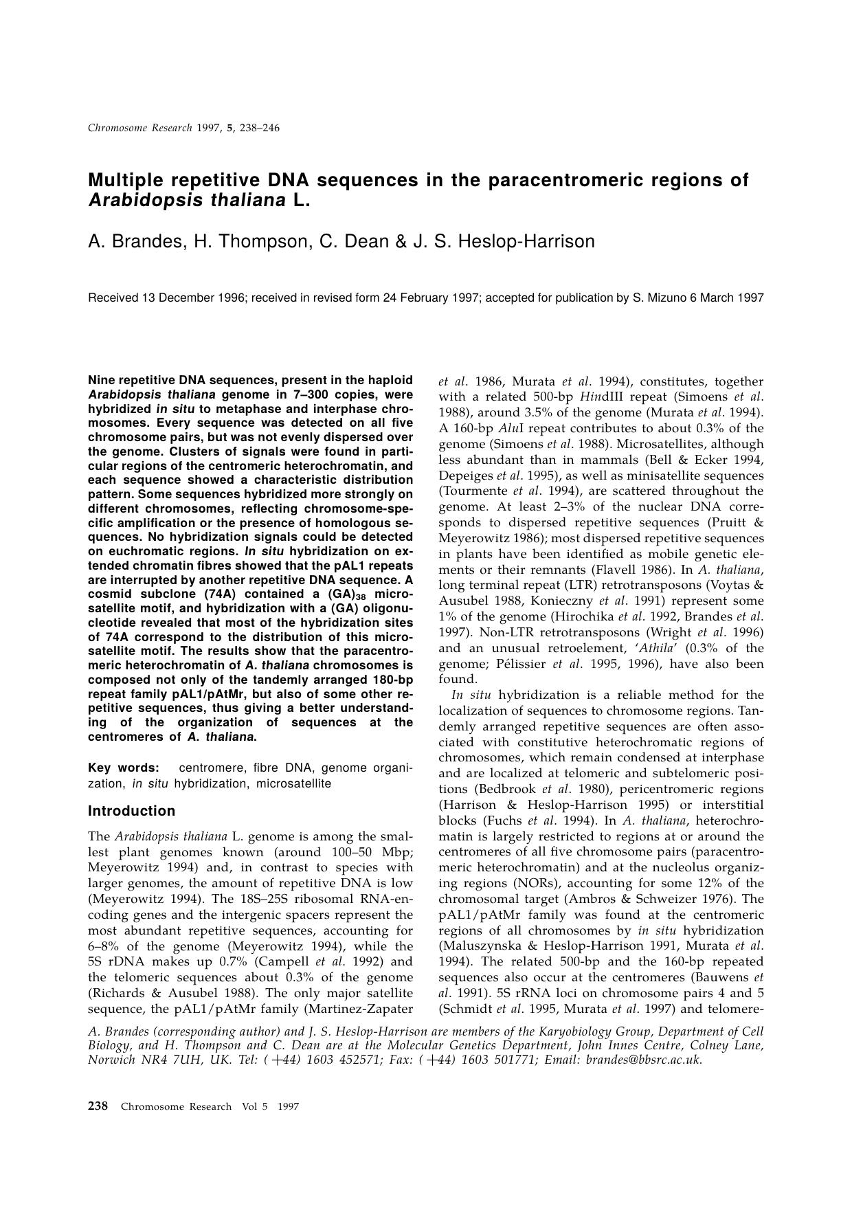 Multiple repetitive DNA sequences in the paracentromeric regions of Arabidopsis thaliana L. by Unknown
