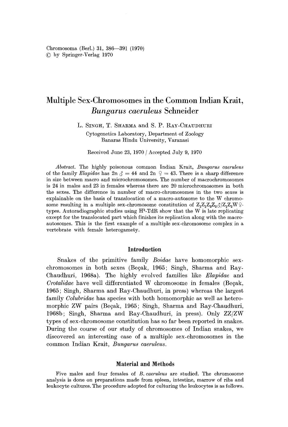 Multiple sex-chromosomes in the common Indian Krait, <Emphasis Type="Italic">Bungarus caeruleus<Emphasis> Schneider by Unknown