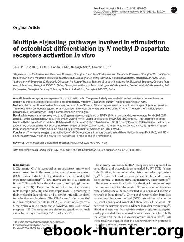 Multiple signaling pathways involved in stimulation of osteoblast differentiation by N-methyl-D-aspartate receptors activation in vitro by Jie-li Li & Lin Zhao & Bin Cui & Lian-fu Deng & Guang Ning & Jian-min Liu